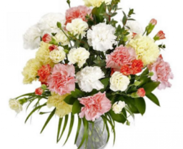 image (3)